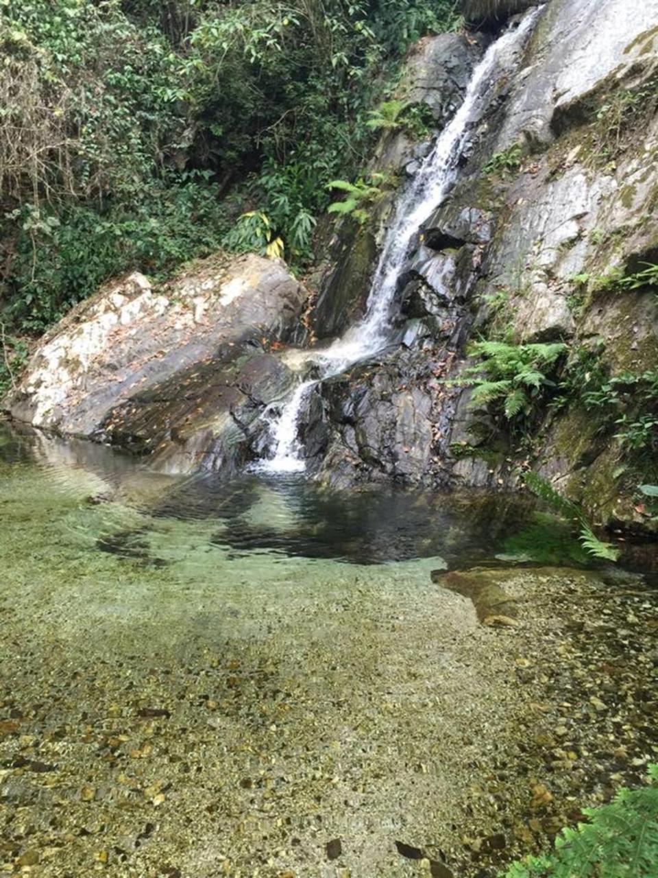 Pluma Hidalgo Glamping Finca Margaritas מראה חיצוני תמונה