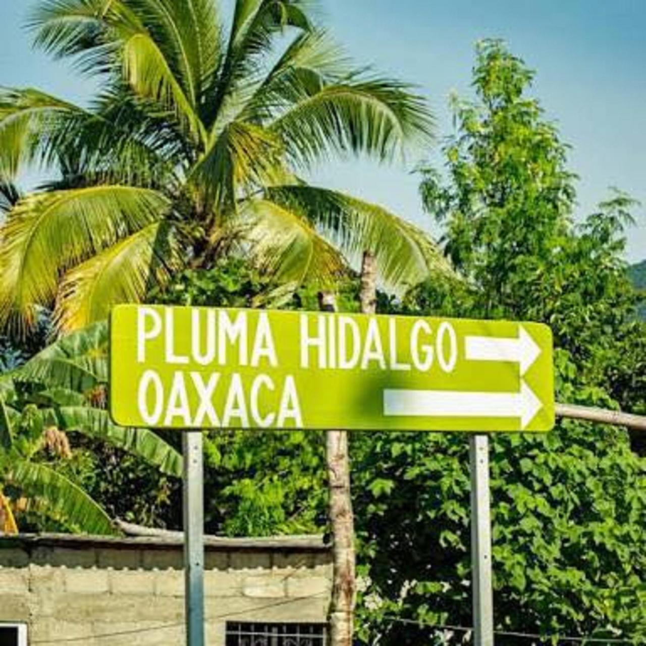Pluma Hidalgo Glamping Finca Margaritas מראה חיצוני תמונה